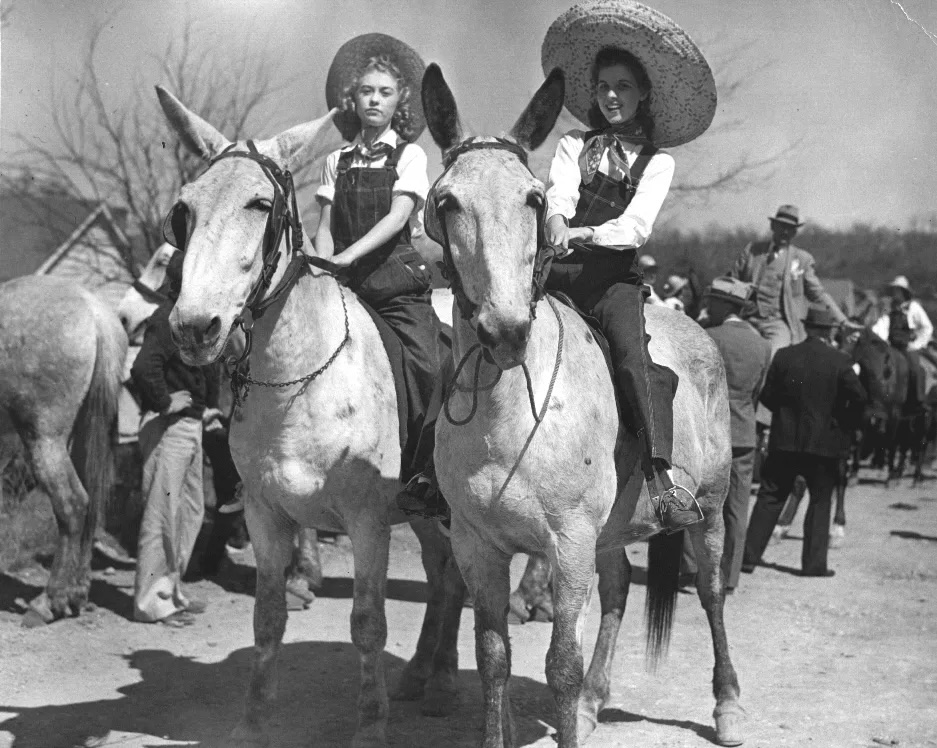 Girls riding mules at Mule Day, Columbia TN